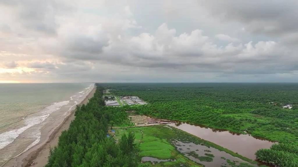 pantai kuala tripa dilihat dari atas